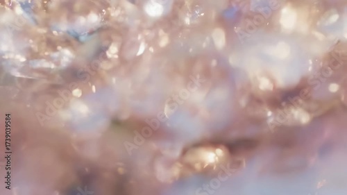 キラキラの桜の花びらが舞う