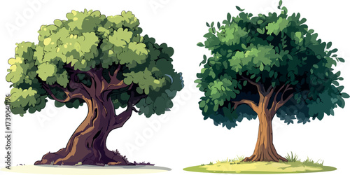 Two distinct green trees with lush foliage stand side by side on a white background