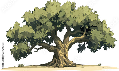 Majestic ancient oak tree with sprawling branches and lush green foliage against a white background