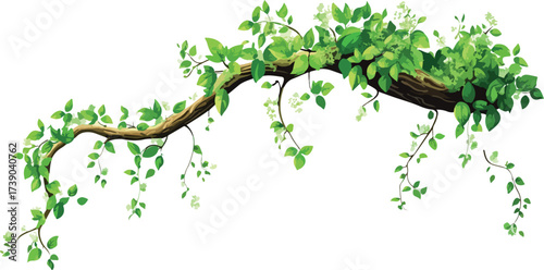 A lush green branch laden with leaves arching gracefully against a white background
