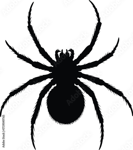 Creepy Crawly Silhouette A Black Spider Against White Background Creating a Spooky Halloween Vibe Perfect for Graphic Design and Illustrative Purposes