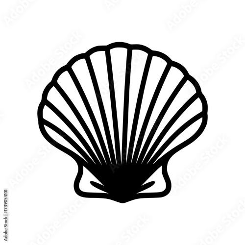 Vector art of scallop shell