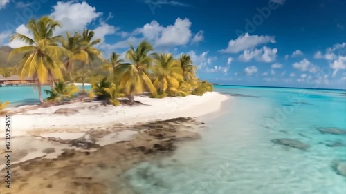 Tropical island with lush palm trees and turquoise ocean view