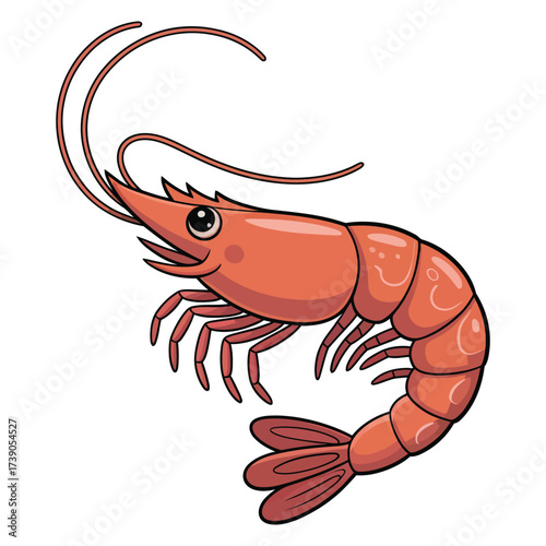 shrimp cartoon illustration