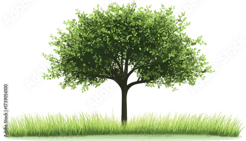 A lush green tree stands tall in a field of vibrant grass against a white background
