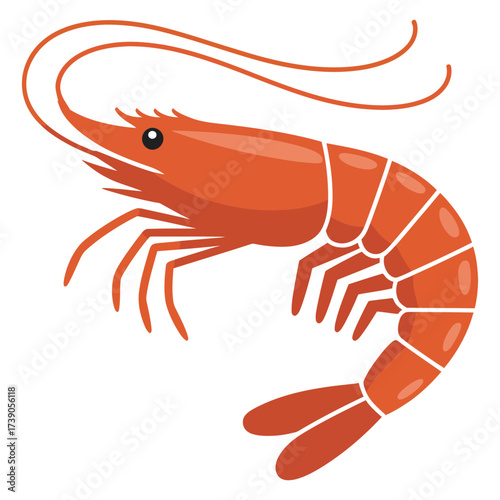 shrimp on white background