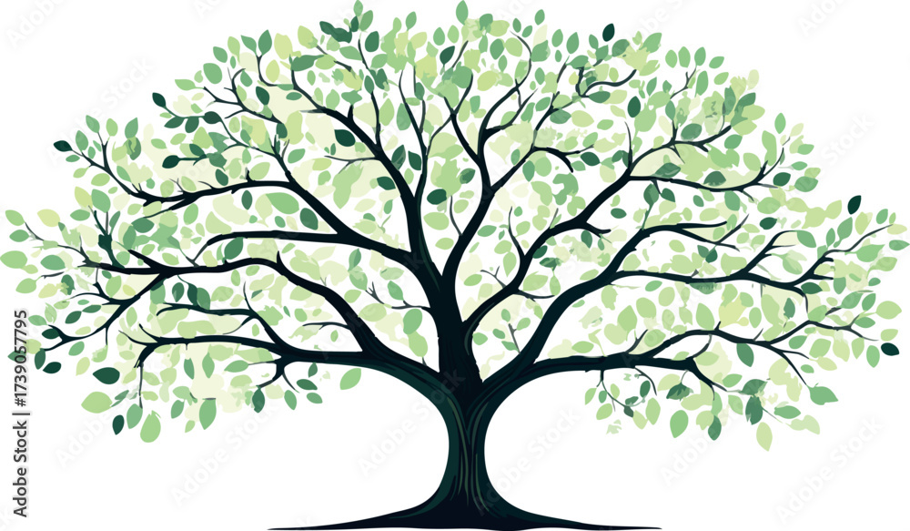 Obraz premium Whimsical watercolor illustration of a large deciduous tree with delicate green leaves and branches