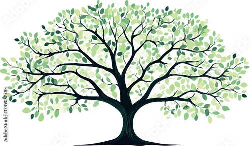 Whimsical watercolor illustration of a large deciduous tree with delicate green leaves and branches