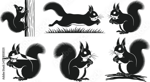 Squirrel silhouettes, wildlife illustration, animal behavior artwork, nut-eating mammal design, zoology study art, natural posture drawing, forest animal concept