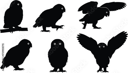Owl silhouettes, nocturnal bird illustration, wildlife artwork, animal behavior design, zoology study
