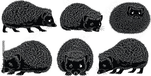Hedgehog silhouettes, wildlife illustration, small mammal artwork, animal behavior design, zoology study art, natural posture drawing, woodland animal concept