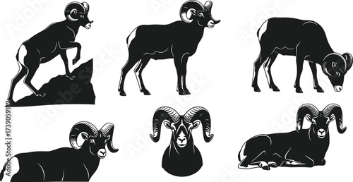 Bighorn sheep silhouettes, wildlife illustration, mountain animal artwork, horned mammal design, zoology study art, natural posture drawing, alpine wildlife concept