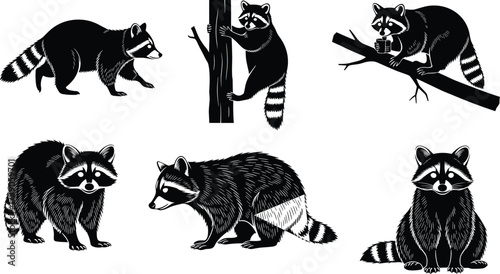 Raccoon silhouettes, wildlife illustration, animal behavior artwork, nocturnal mammal design,