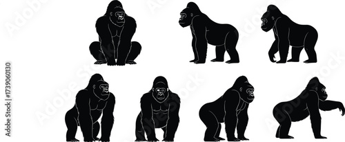Gorilla silhouettes, primate illustration, wildlife artwork, animal posture design, zoology study art, natural movement drawing, jungle mammal concept