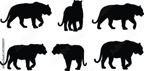 Big cat silhouettes, tiger lion panther illustration, predator wildlife artwork, animal posture design,