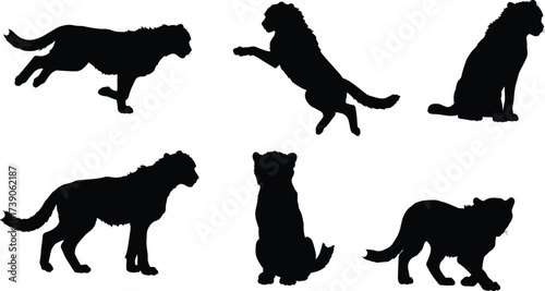 Big cat silhouettes, wildlife illustration, predator movement artwork, lion tiger design, zoology