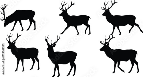 Deer silhouettes, wildlife illustration, animal behavior artwork, antler design concept, zoology study art, natural posture drawing, wilderness animal artwork