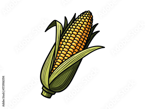vector illustration of corn with a white background