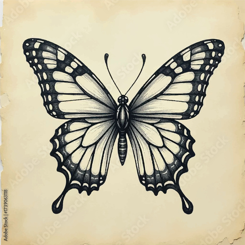 butterfly, illustration, design, beautiful, nature, floral, vector, spring, summer, decoration, insect, colorful, background, abstract, wing, fly, silhouette, flower, art, white, pattern, isolated, pr