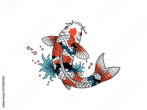 vector illustration of a koi fish with a white background