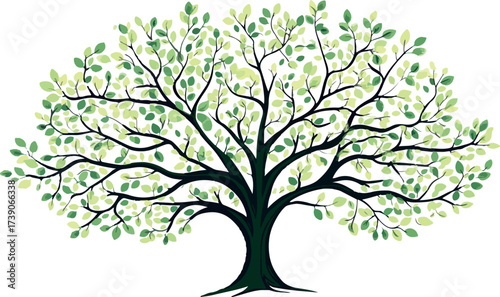Stylized illustration of a large mature tree with a dense canopy of green leaves