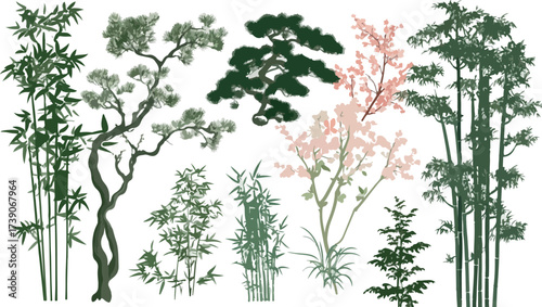 Collection of diverse asian trees and bamboo stalks against a white background