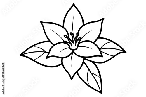 Romduol fragrant blossom