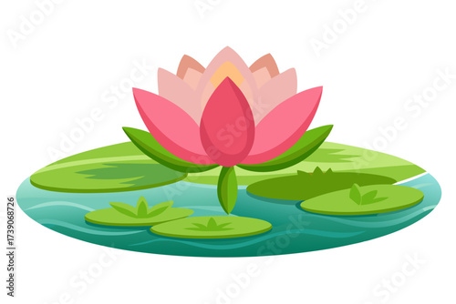 pink water lily