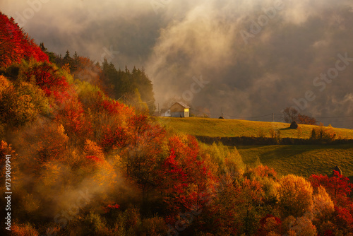 Beautiful rural landscape with colorful autumn trees. Holbav, Romania.	
