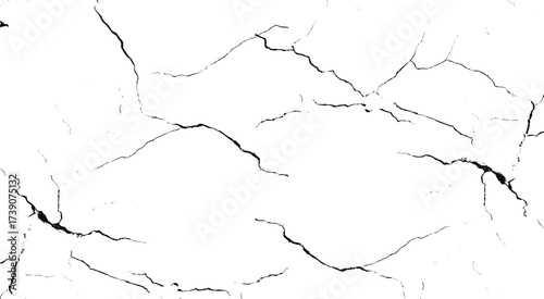 Vector group of black branch grunge cracks isolated on white background