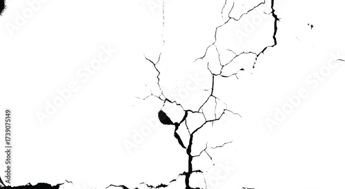Vector group of black branch grunge cracks isolated on white background