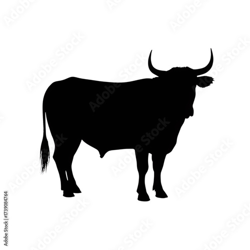 Black Bull