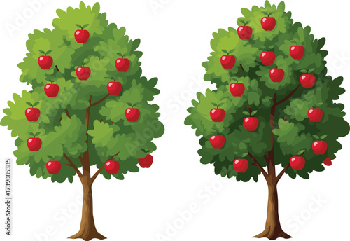 Beautiful apple trees with ripe red apples, fresh fruit orchard illustration, natural green foliage, harvest season concept, organic farming, healthy food vector design