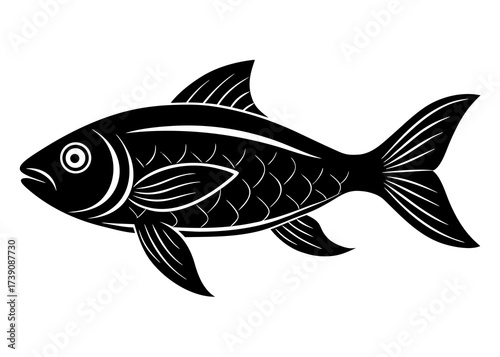 fish isolated on white background