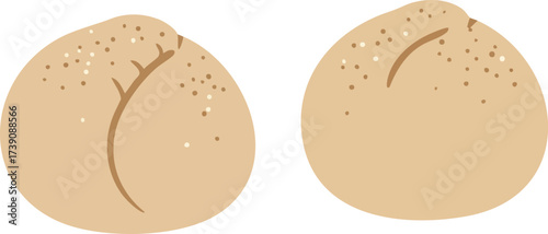 Two round bread rolls with a light brown color, featuring a textured surface and a decorative slit.