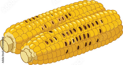 Two grilled yellow corn on the cob, ready to eat, with some kernels showing char marks.