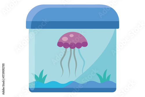jellyfish in the water