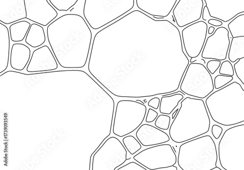 Abstract organic pattern of interconnected polygons on white, reminiscent of natural cell structures. Minimalist line art providing a versatile and dynamic background texture