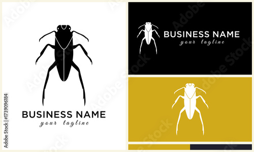 Beetle logo design template on white and colors.