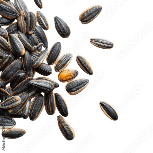 Wallpaper Mural Sunflower seeds isolated on transparent background Torontodigital.ca