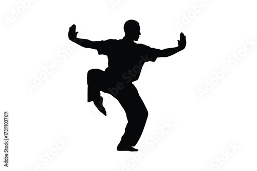 Black silhouette of a martial artist performing a dynamic pose martial arts white background