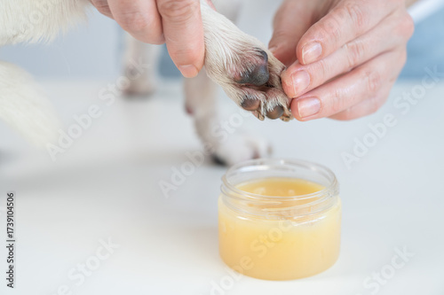 The owner puts wax on the dog's paws. 