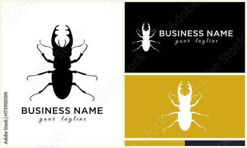 Beetle logo design with sample business card.