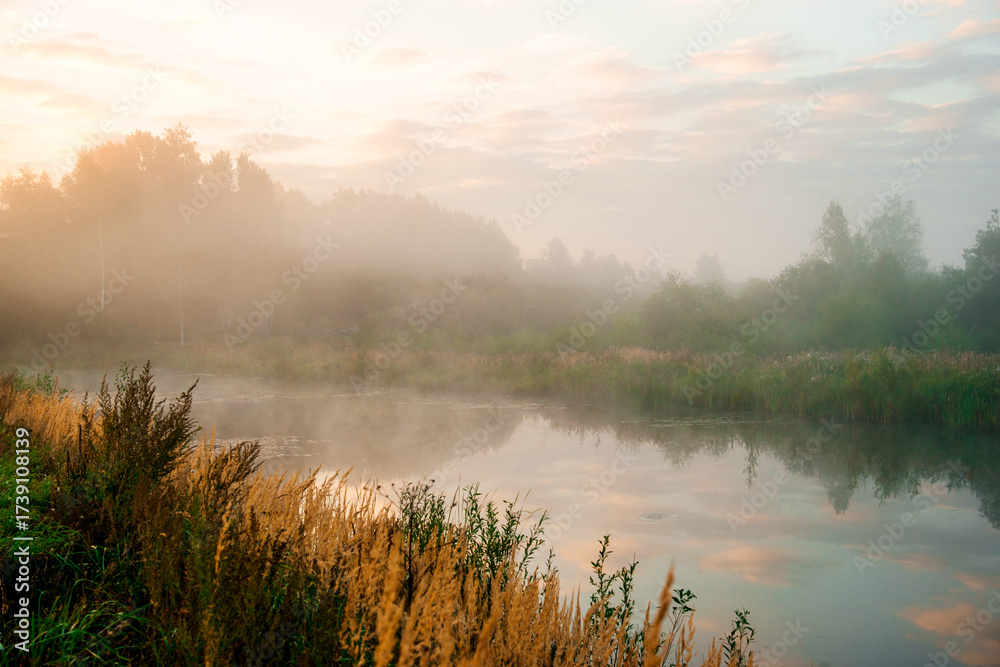 Fototapeta premium a mystical fog enveloped the lake at dawn