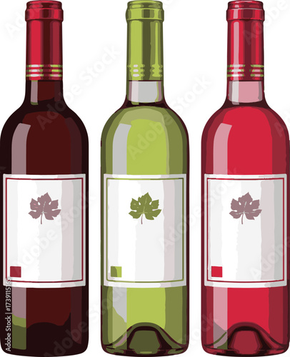 Three Wine Bottles with Blank Labels | Red, White, and Rosé Wine Bottles for Product Mockup, Winery Branding, and Beverage Advertising