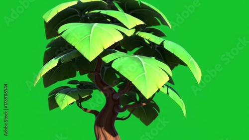 green leaves on green background