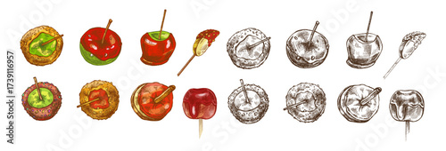 Hand drawn vintage sketch set of caramel apples with glaze, nuts and candy topping in color and monochrome