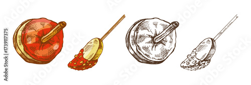 Hand drawn vintage sketch set of caramel toffee apple and glazed apple slice with nuts, color and monochrome