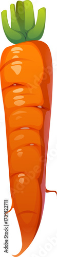Cartoon raw ripe carrot vegetable. Isolated vector whole, orange carrot root, veggie with firm surface and green tops. Fresh, crisp and juicy farm veg with a sweet flavor and carotene vitamins