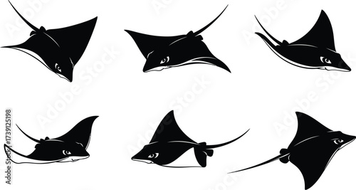 Collection of manta ray illustrations in various poses, showcasing their graceful movements and unique features